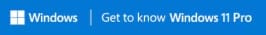 windows_11_pro_blue_logo_desktop_2x